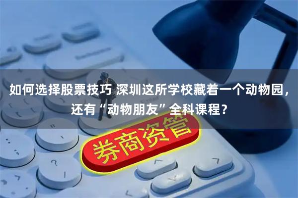 如何选择股票技巧 深圳这所学校藏着一个动物园，还有“动物朋友”全科课程？