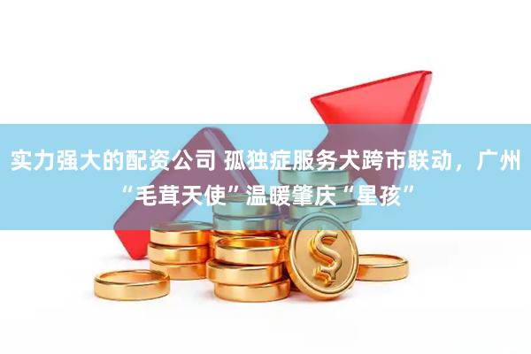 实力强大的配资公司 孤独症服务犬跨市联动，广州“毛茸天使”温暖肇庆“星孩”