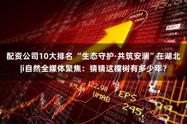 配资公司10大排名 “生态守护·共筑安澜”在湖北|i自然全媒体聚焦：猜猜这棵树有多少年？