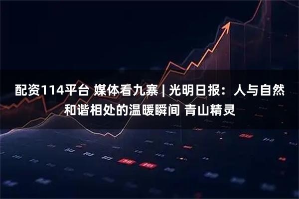 配资114平台 媒体看九寨 | 光明日报：人与自然和谐相处的温暖瞬间 青山精灵