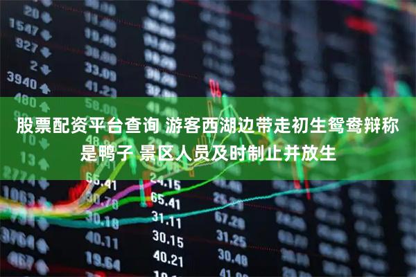 股票配资平台查询 游客西湖边带走初生鸳鸯辩称是鸭子 景区人员及时制止并放生