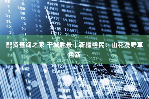 配资查询之家 千城胜景｜新疆裕民：山花漫野草色新