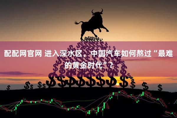 配配网官网 进入深水区，中国汽车如何熬过“最难的黄金时代”？