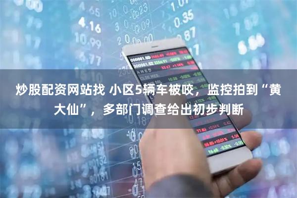 炒股配资网站找 小区5辆车被咬，监控拍到“黄大仙”，多部门调查给出初步判断